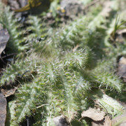 DSC9467