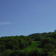 DSCF7886