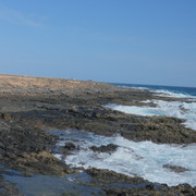 DSCF8195