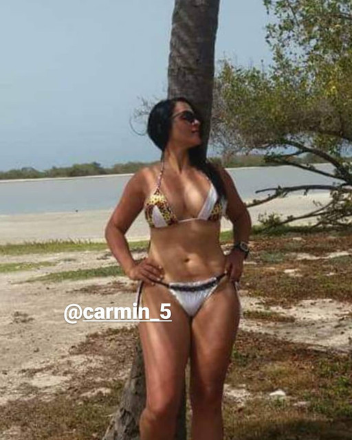 CARMIN-43