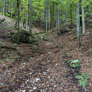 IMG-3093