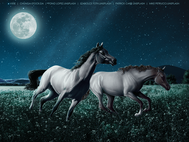moonstone-about-us.png