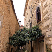 IMG-9597