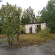OLYMPUS-DIGITAL-CAMERA