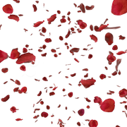 petalos
