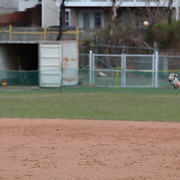 IMG-0885