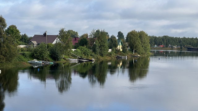 IMG 5290.jpg