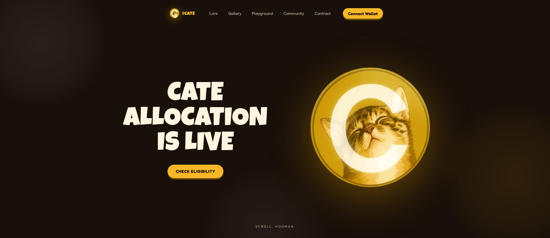 Stored capture of catecoin-sol.com