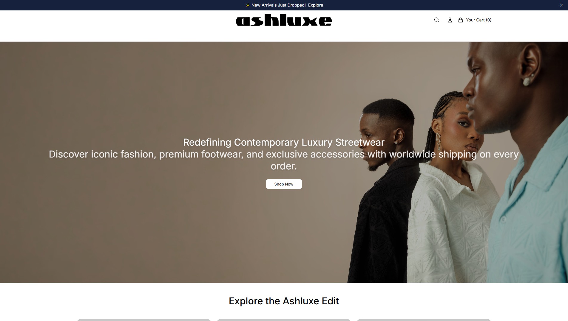 Stored capture of ashvogue.shop