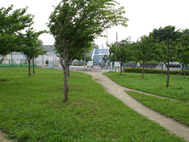 2010-06-25-079.jpg