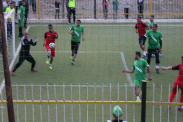IMG-7123-1.jpg