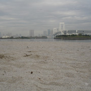 2008-04-12-059