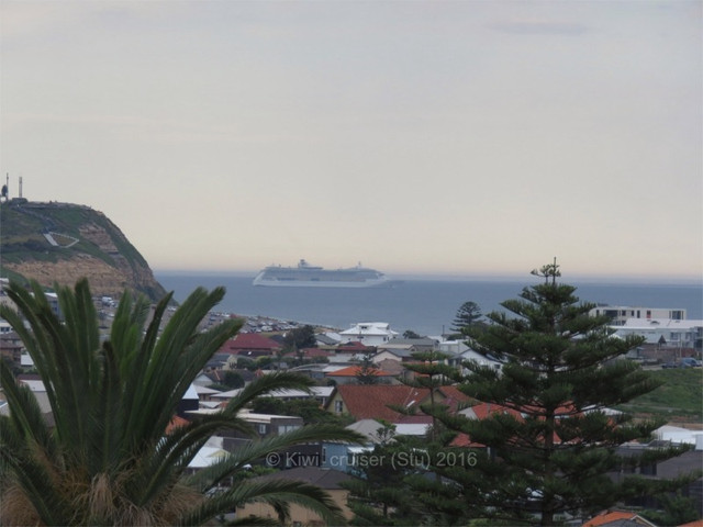 IMG-6915.jpg