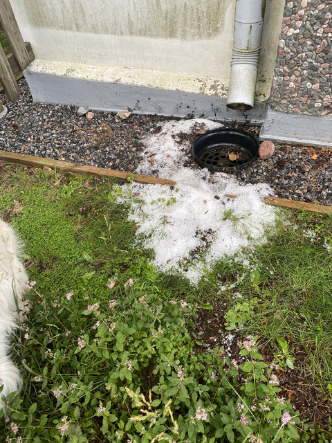 1013-F5-DF-1-E92-459-D-A30-F-46-AA694-C7