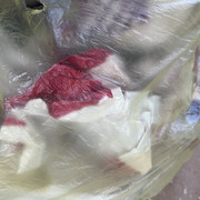 [Bild: IMG-1700.jpg]