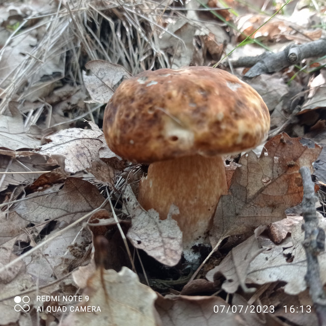 3-mn-1b