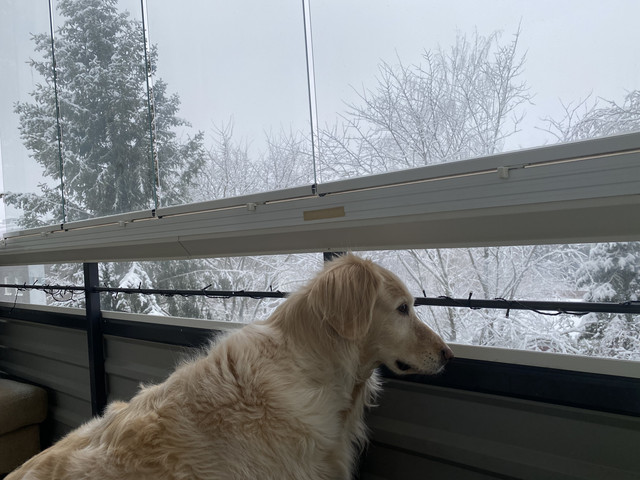 FD8-FCA08-4125-4422-A711-D2731484-BD02.j