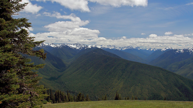 Hur-Ridge1-Border-Maker