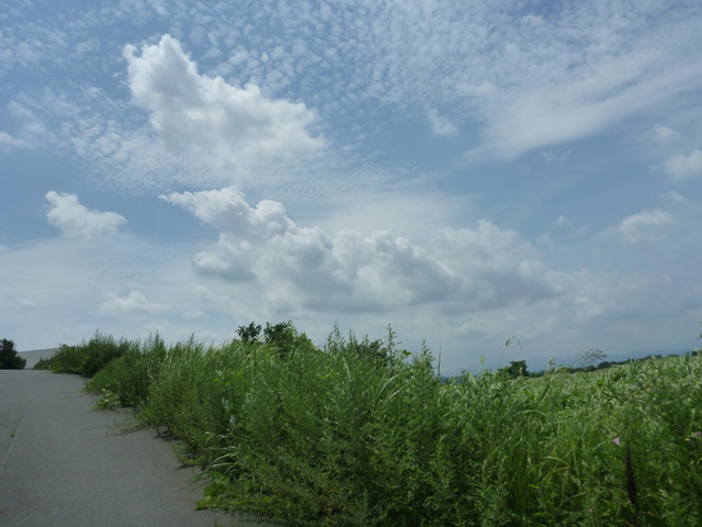 P1330201