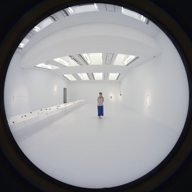 DSCF9709.jpg