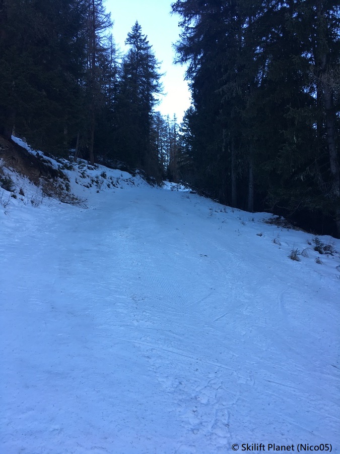 IMG-7674.jpg