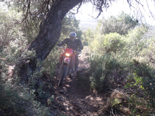 DSCF9047.jpg
