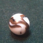IMAG0854