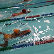 IMG-8018