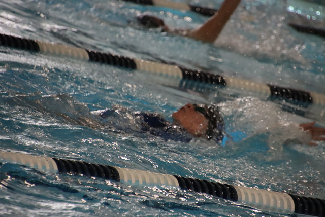 IMG-0185