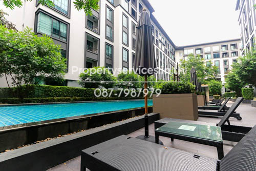 IMG 8452.jpg