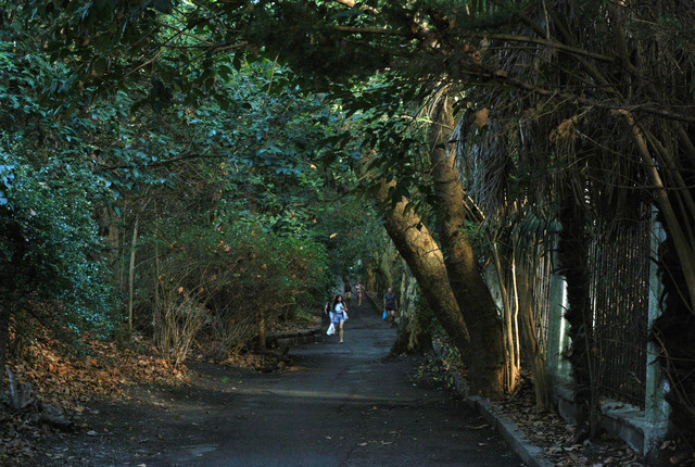 DSC-6779.jpg