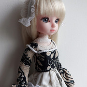 FP-Severine24