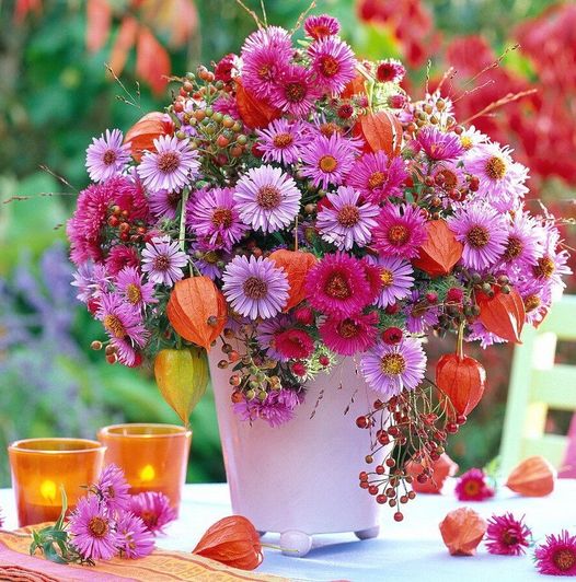 Чайная беседка