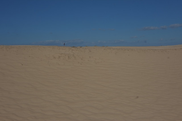DSCF8566.jpg