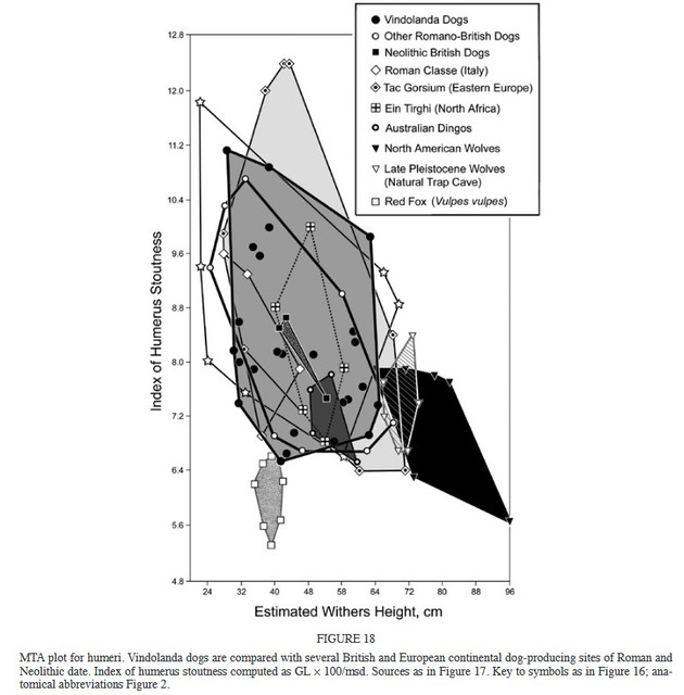 figure18