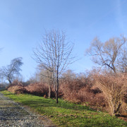 Country side road