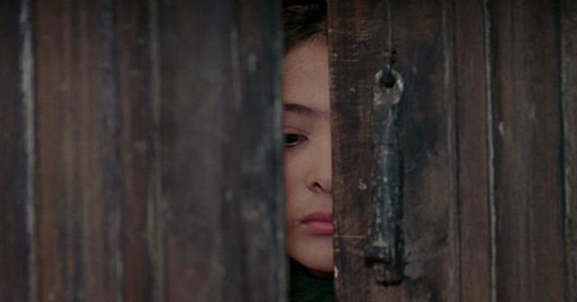 baran-2001.jpg