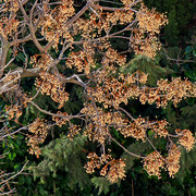 IMG-6758
