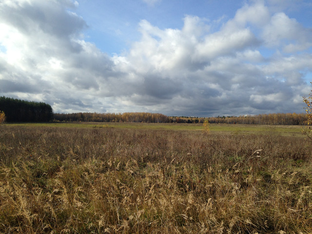 IMG-4356.jpg