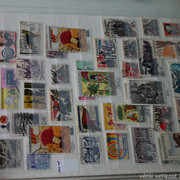 IMG-6939