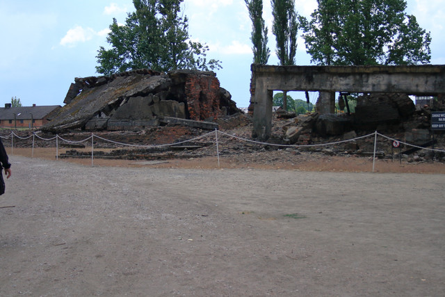 IMG-5876.jpg