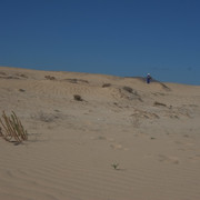 DSCF8560