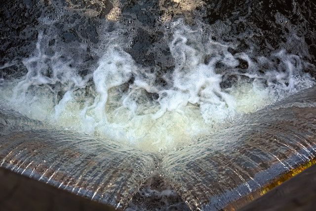DSF0713.jpg