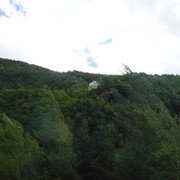 DSCF6245