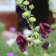 DSC5508