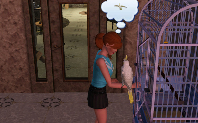 Screenshot-62
