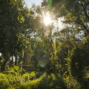 10a00470m
