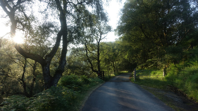 DSC09324.jpg