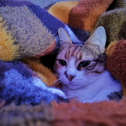 IMG-20220102-142520