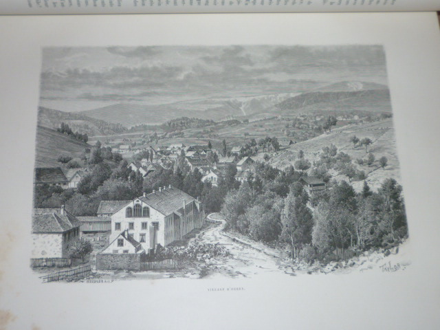 P1140821.jpg